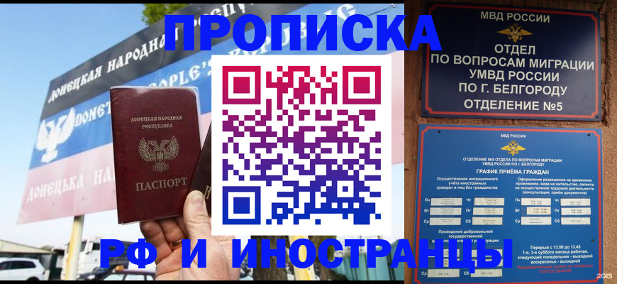 временная регистрация 2025 в Могочи